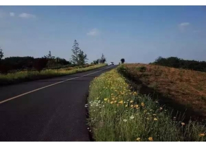 2017–08-01  多府暴雨23府97条道路受损